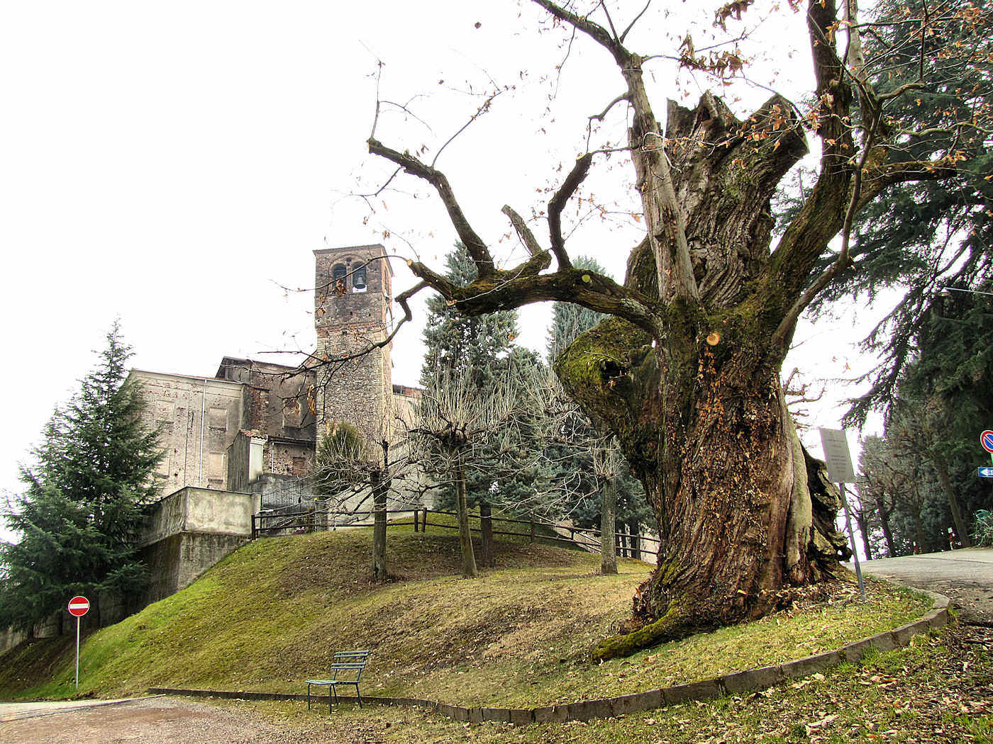 Castagno di Sostegno